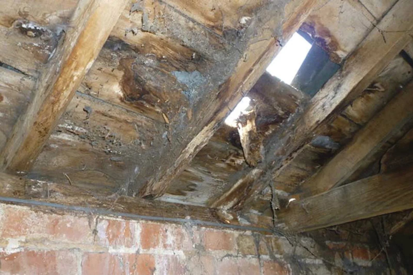 Damp subfloor timbers exposed
