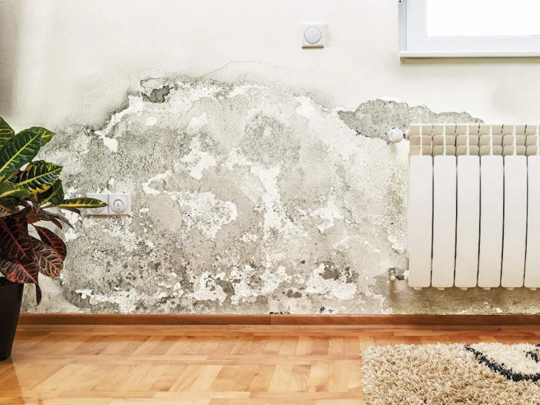 Damp staining on an internal wall