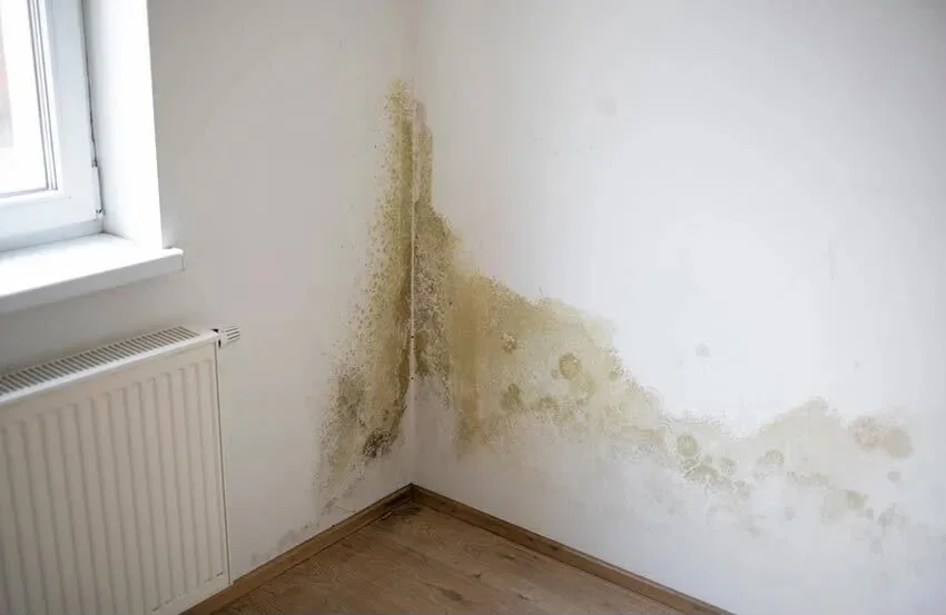 Damp staining in a corner