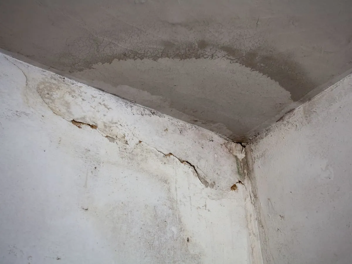 Penetrating damp patch on an internal wall